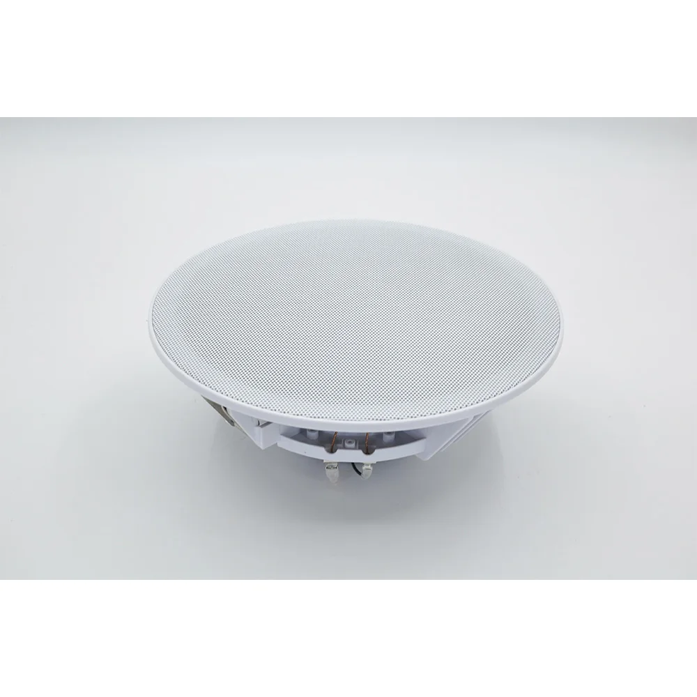 20W Ceiling Speaker Stereo 8 i - Audio Music For Background ulasan dan harga