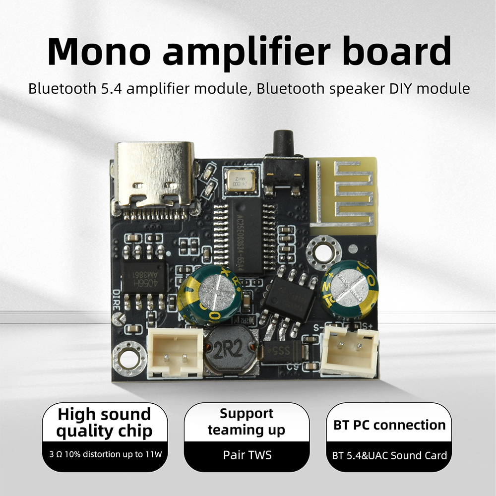 BPM13 Plus 6.2W Mono Class D A - Audio Music Mp3 Free ulasan dan harga