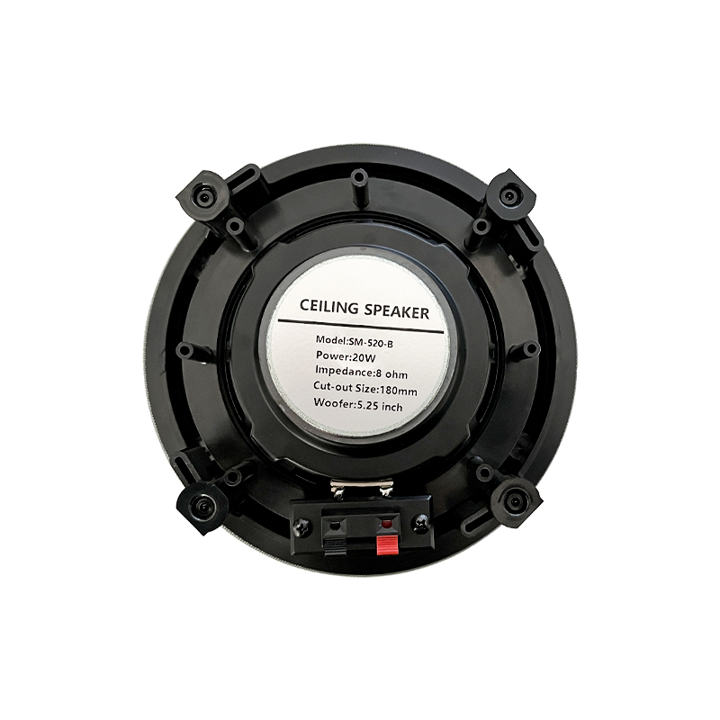 5.25 inch 8 ohm ceiling speake - Audio Music For Background ulasan dan harga
